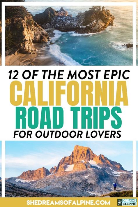 12 Best California Road Trips for Outdoor Adventure Lovers — She Dreams Of Alpine Northern California Road Trip, California Road Trip Itinerary, Mojave National Preserve, Desert Ecosystem, Epic 2, California Road Trip, Best Beaches To Visit, Kings Canyon National Park, California Travel Road Trips