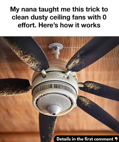 Dr. Sood Ceiling Fan Cleaner, How To Clean Ceiling Fans Easy, Fan Cleaning Hacks, Ceiling Fan Hack, Clean Ceiling, Kitchen Ceiling Fan, Fan Cleaner, Cleaning Ceilings, Cleaning Ceiling Fans