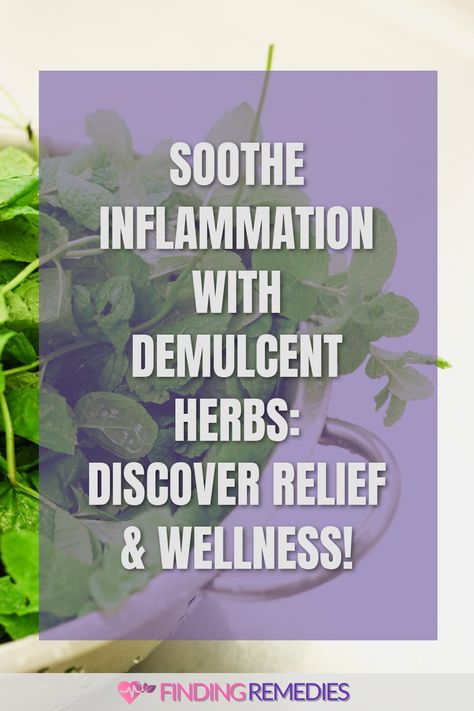 Soothe Inflammation with Demulcent Herbs: Discover Relief & Wellness! Demulcent Herbs, Marshmallow Root Tea, Slippery Elm, Difficulty Breathing, Traditional Medicine, Acid Reflux, A Healthy Lifestyle, Healing Process, Natural Wellness