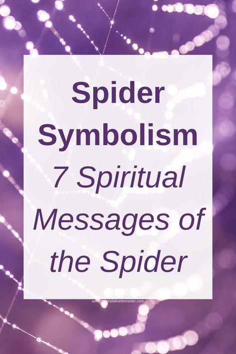 Spider Omen Meaning, Spider Spirit Animal Meaning, Seeing Spiders Meaning, Brown Spider Spiritual Meaning, Black Widow Spider Spiritual Meaning, Spider Dreams Meaning, Spider Omens Witchcraft, Astral Spiders, Spider Spirit Animal