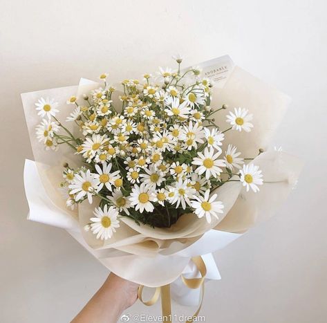 Small Daisy Bouquet, White Daisy Bouquet, Aesthetic Clips, Daisy Bouquet, Bouquet Gift, Flowers Bouquet Gift, Grad Photos, White Daisy, Home Screen