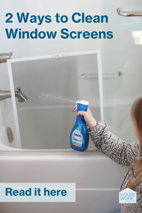 2 Ways to Clean Window Screens Best Way To Clean Window Screens, How To Clean Window Screens, Clean Window Screens, Cleaning Window Screens, Household Cleaning Schedule, Clean Window, Cleaning Baseboards, Mopping Floors, Bug Screen