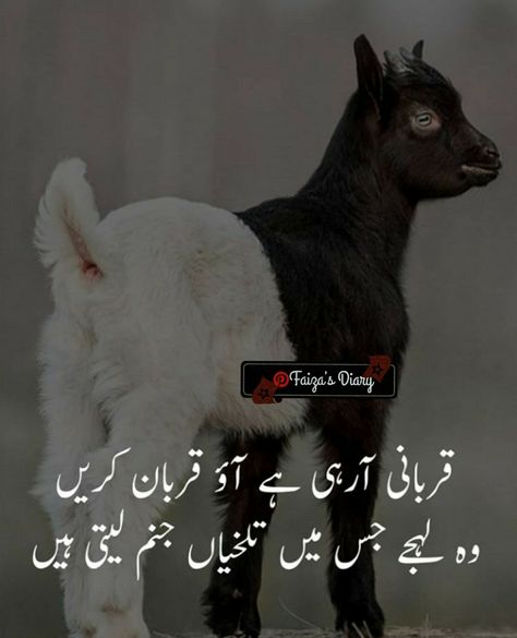 Bilkul#Eid Mubarak to all Muslims Deen Quote, Eid Jokes, Eid Al Adha Wishes, Dhul Hijjah, Best Birthday Wishes Quotes, Eid Quotes, Sorry Images, Bakra Eid, Daily Life Quotes