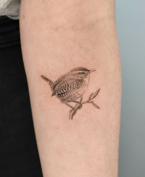 A little Wren bird Done at @exp.haus . . . . . #microrealismtattoo #finelinetattoo #londontattoo #londonfinelinetattoo #realistictattoo #tattooidea #londontattoostudio #birdtattoo #wrentattoo House Wren Tattoo, Bird Tattoo Realism, Wren Tattoo Design, House Finch Tattoo, Tufted Titmouse Tattoo, Carolina Wren Tattoo, Wren Tattoo Simple, Wren Bird Tattoo, Wren Tattoos