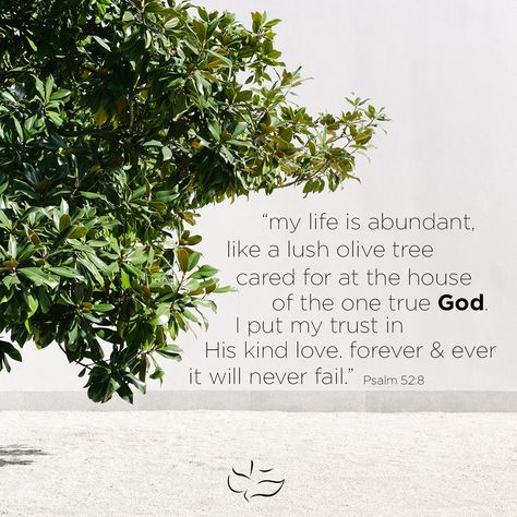 "My life is abundant like a lush olive tree cared for math the house of the one true God. I put my trust in His kinds love, forever & ever it will never fail." -Psalm 52:8  #bibleverse #bible #scripture #christian #quote #jesus #God #worship #maranathamusic #praise Olive Tree Bible Verse, Christ Is Enough, Tree Bible Verse, Oliveda Skincare, Psalm 52, Olive Tree Care, God Worship, Journal Notes, Bible Journal Notes