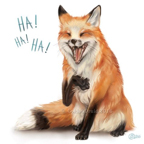 Fox Laughing, Fantastic Fox, Fox Artwork, Fox Drawing, Fox Pictures, Fox Illustration, Pet Fox, Ha Ha, Wild Dogs