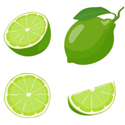 Lime Vector, Olive Foliage, Lime Slice, Cocktails Vector, Tiny Woman, Finger Lime, Fruit Cartoon, Fresh Fruit Juice, Mojito Cocktail