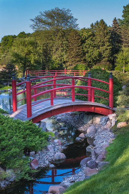 Japanese Architecture Drawings, Indoor Japanese Garden, Japanese Water Gardens, Round Gazebo, Japanese Garden Plants, Japanese Bridge, Japanese Garden Landscape, Japanese Shrine, Pond Water Features