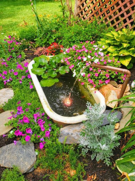 Clawfoot Tub Pond, Bathtub Water Feature, Bathtub Pond Ideas, Bathtub Ponds Water Garden, Bathtub Garden Ideas, Bathtub Fish Pond, Old Bathtub Ideas Garden, Bathtub Pond, Garden Ponds Ideas