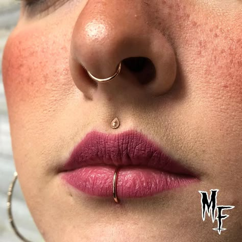 🦷 Just Mal 🦷 They/Them on Instagram: “Take a look at this symmetry in these piercings I’ve done! Tanner has upgraded all her healed piercings to gold seam rings from…” Unique Facial Piercings, Gold Face Piercings, Face Piercing Ideas, Medusa Piercing Jewelry, Philtrum Piercing, Lip Piercings, Medusa Piercing, Pretty Ear Piercings, Face Piercings