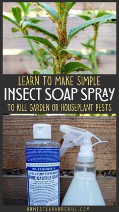 Bug Spray For Plants, Aphid Spray, Homemade Organic Soap, Pest Spray, Plant Bugs, Plant Insects, Insect Spray, Garden Remedies, Garden Bugs