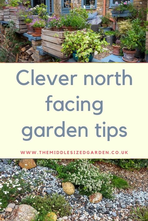 Small North Facing Garden Ideas, Shady Plants, City Gardening, Front Driveway, Shade Loving Plants, East Facing Garden, Garden Ideas Uk, Flower Garden Ideas, Small Front Gardens