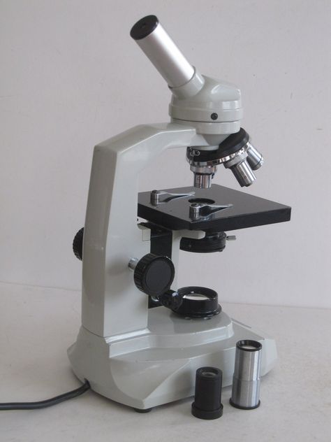 Jungner Optics AB, Uppsala – Twelve-fold university lab microscope with max. 1,500x magnification #microscope #camera #catawikicamera #opticalinstrument #microscope #microscopecamera #zeiss #wetzlar #zeissjena #ausJena #1960s #laboratorium #labequipment⁠ #CarlZeissJena #brassmicroscope #camera #catawiki #catawikicameras https://www.catawiki.com/en/l/64223027-jungner-optics-ab-uppsala-twaalfvoudige-universitaire-labo-microscoop-met-max-1-500x-vergroting Microscopes, Lab Equipment, Jena, 1960s, Lab, University, Quick Saves