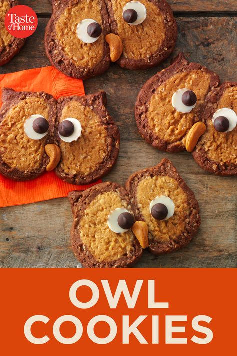 Owl Cookies Owl Cookies Easy, Owl Cookies Decorated, Night Owl Cookies, Hoot Owl Cookies, Owl Cookies Royal Icing, Owl Dessert Ideas, Owl Treats, Valentines Treats, Cookie Cookbook