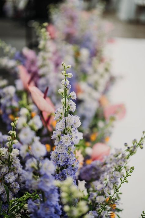 A Vibrant and Lush Summer Wedding at French’s Point — Pinch Me Planning - Maine and New England Wedding Planner New England Summer Wedding, Maine Summer Wedding, Lemon Wedding, New England Wedding, July Wedding, Maine Wedding, England Wedding, Lush Garden, Blue Skies