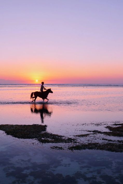 Beaches Sunset, Gili T, Island Horse, Gili Air, Gili Trawangan, Gili Island, Horse Silhouette, Best Sunset, Best Beaches