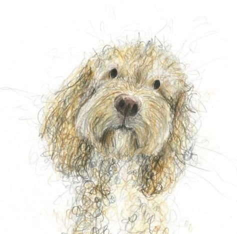 Catherine Rayner, Illustration Kunst, Animal Illustration Art, Scribble Art, 강아지 그림, Canine Art, Wow Art, Dog Illustration, Arte Animal