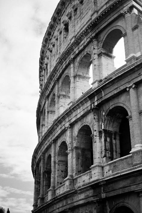 Rome Coliseum. White Photo Wall, Black And White Photo Wall, Black And White Picture Wall, White Pictures, Black And White Aesthetic, Black And White Photos, Future Travel, Black And White Pictures, White Photos