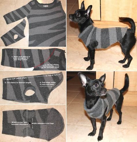 DIY Recycled Dog and Cat Sweater --> http://wonderfuldiy.com/wonderful-diy-recycled-dog-and-cat-sweater/ #diy #recycling #forpets Diy Dog Sweater, Dog Coat Pattern, Pet Sweaters, Cat Tent, Dog Clothes Diy, Recycled Sweaters, Dog Clothes Patterns, Old Sweater, Dog Coat