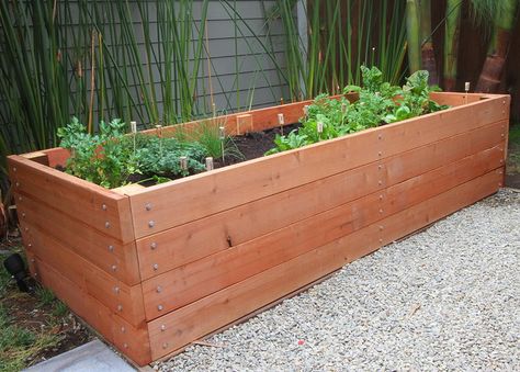 Huge Garden Planter Box made of Redwood and 8' feet long by 3' feet wide Vegetable Planter Boxes, Vegetable Garden Planters, Huge Garden, Planter Box Plans, Garden Boxes Diy, Diy Garden Bed, Raised Garden Planters, Raised Planter Beds, Vegetable Planters