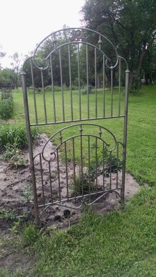 Someone discarded a twin size headboard and footboard. My very talented husband turned them into a trellis! Using Headboards In The Garden, Metal Headboard Garden Ideas, Iron Headboard Garden Ideas, Using Old Bed Frames In The Garden, Metal Bed Frame Garden Trellis, Garden Obelisk, Small Courtyard Gardens, Diy Trellis, Small Courtyards