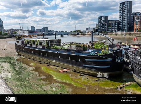 Download this stock image: Large Dutch barges converted to house boats now sit on the mud at their moorings at low tide on the River Thames at Battersea. - 2DAJ3NR from Alamy's library of millions of high resolution stock photos, illustrations and vectors. Houseboat Ideas, Dutch Barge, House Boats, Future Transportation, Houseboat, River Thames, Luxury Yachts, House Boat, Yachts