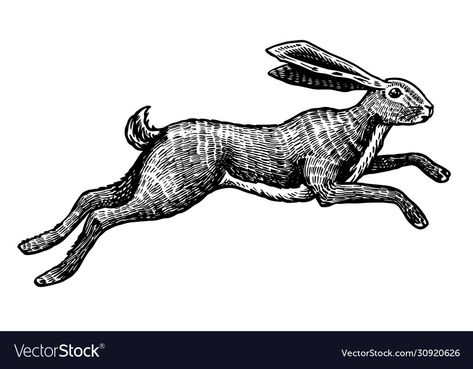 Baby Zebra Drawing, Running Drawing, Rabbit Jumping, Hare Illustration, Running Tattoo, Wild Hare, Rabbit Drawing, Rabbit Run, Bunny Tattoos