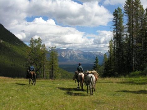 Things To Do in Banff National Park in Summer and Winter Horseback Riding Vacations, Alberta Canada Travel, Things To Do In Banff, Stunning Scenery, Vertical Images, Canadian Rockies, Banff National Park, Alberta Canada, Canada Travel