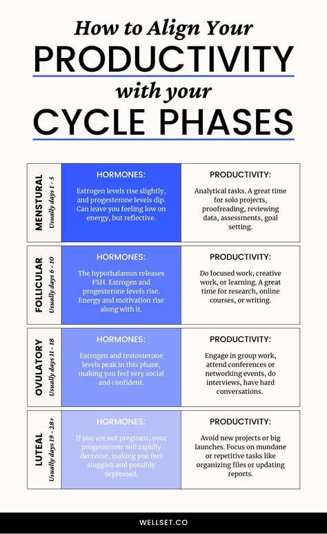 Productivity Tips for Each Phase of Your Menstrual Cycle Cycle Phases, Menstrual Cycle Phases, Neet Notes, Follicle Stimulating Hormone, Hormonal Birth Control, Progesterone Levels, Healing Vibes, Feminine Health, Deep Thinking