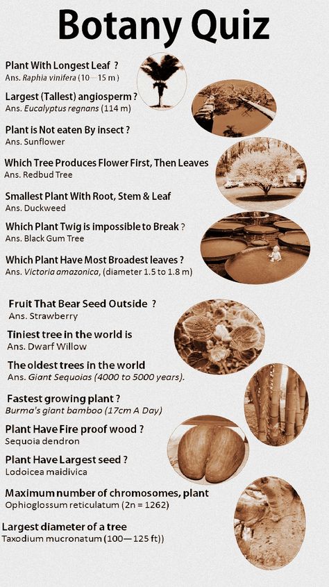 Botany facts.... Bsc 1st Year Botany Notes, Botany Classroom, Botany Facts, Botany Notes, Botany Aesthetic, Botany Science, Botany Poster, Cell Biology Notes, Botany Study