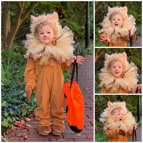 Kids Lion Costume Diy, Diy Baby Lion Costume, Homemade Lion Costume Kids, Diy Lion Costume Kids, Lion Toddler Costume, Diy Lion Costume, Lion Costume Diy, Baby Lion Costume, Lion Tamer Costume