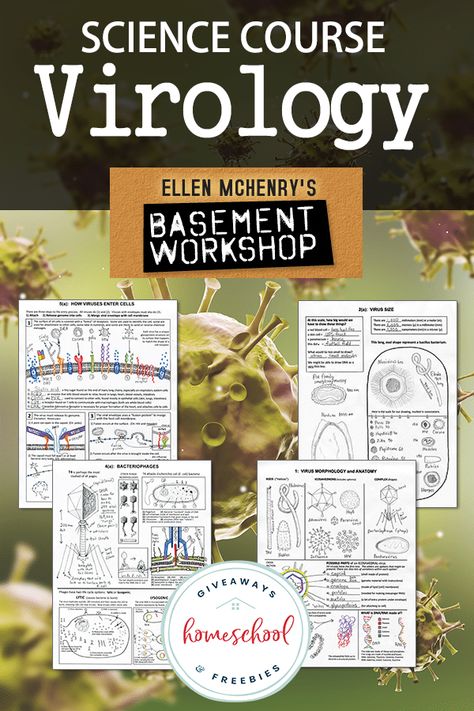 Science Course - Virology from Ellen McHenry Homeschool Nook, Homeschool Units, Biology Classroom, General Science, High School Biology, Biology Lessons, Cell Biology, High School Science, Smarty Pants