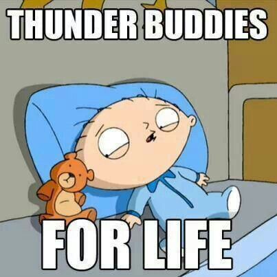 Thunder Buddies, Thunder Buddy, Family Guys, Simpsons Funny, Bff Quotes, Funny Clips, Best Memes, Family Guy, Funny Memes