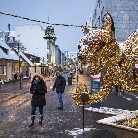 Yule Cat Iceland, Gryla And The Yule Lads, Christmas Folklore, Icelandic Christmas, Yule Lads, Iceland Christmas, Yule Cat, Iceland Trip, Alternative Christmas