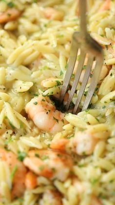 Smoked Seafood, Butter Prawn, Orzo Recipes, Shrimp Recipes For Dinner, Lost 100 Pounds, Garlic Butter Sauce, Shrimp Recipes Easy, Shrimp Dishes, God Mat