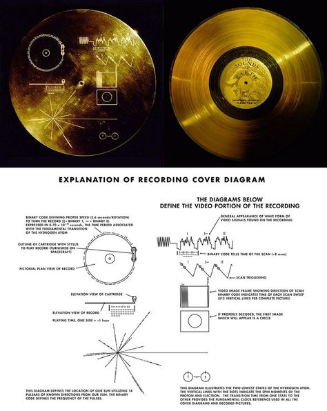 The Voyager Golden Record (1977) The Golden Record, Voyager Golden Record, Golden Record, Voyager 1, Space Facts, Physics And Mathematics, Rocket Science, Astronomy Art, Carl Sagan