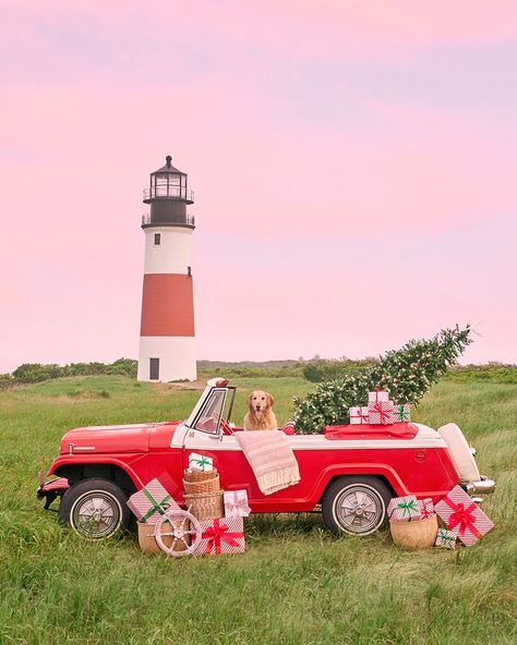 Looking for the perfect holiday decoration addition or gift? Here's a paw-fect idea, explore the Gray Malin Holiday collection, and bring home your favorite escape or whimiscal holiday getaway Boat Vibes, Snowy Lake, East Coast Kitchen, Coast Kitchen, Maine Summer, Fisherman Aesthetic, Cute Dog Pics, Dallas House, Hamptons Summer