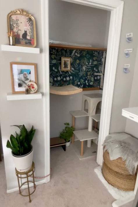 Ever thought of turning an unused closet into a cat playground? I did! From a cat climbing wall to a jute bean bag, here's how I created the ultimate cozy cat space. 🐱 #CatHome #PetRoomInspo Closet Cat Room, Cat Apartment Ideas Small Spaces, Cat Living Room Ideas, Cat Corner Ideas Spaces, Cat Closet Ideas, Diy Cat Room, Cat Home Ideas Indoor, Cat Room Ideas Small Spaces, Cat Closet