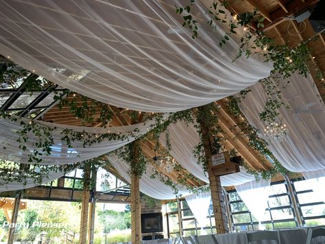 Quince Ceiling Decorations, Vaulted Ceiling Wedding Decor, Ceiling Decoration Wedding, Ceiling Wedding, Ceiling Greenery, Chiffon Ceiling Draping, Wedding Draping Ceiling, Ceiling Swag Draping, Wedding Barn Decor