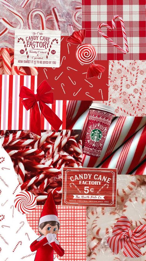 #candy cane #peppermint Peppermint Aesthetic, Candy Cane Aesthetic, Peppermint Wallpaper, Candy Cane Iphone Wallpaper, Peppermint Tea Aesthetic, Candy Cane Phone Wallpaper, Candycane Wallpaper Aesthetic, Christmas Dreaming, Christmas Collage