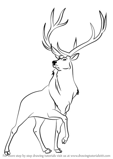 Learn How to Draw The Elk from Fantasia (Fantasia) Step by Step : Drawing Tutorials Elk Drawing Sketch, Deer Drawing Reference, Mosaic Quilts, Deer Outline, Elk Drawing, Elk Pictures, Hamsa Tattoo Design, Valentines 2024, Small Dragon Tattoos