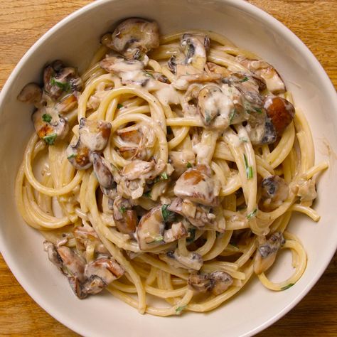 Creamy Truffle Mushroom Bucatini | Truffle Guys UK Truffle Spaghetti, Cheese Pasta Dishes, Pici Pasta, Mushroom Spaghetti, Mac And Cheese Pasta, Truffle Mac And Cheese, Fried Chicken Burger, Truffle Mushroom, Burrata Salad