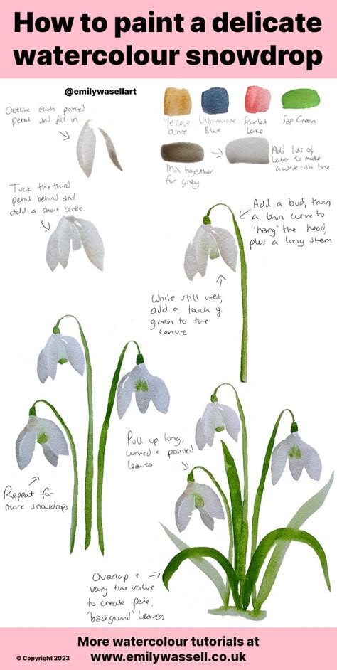 How To Draw Snowdrop Flowers, Snow Drop Painting, Snow Drop Watercolor, Snow Drop Flower Watercolor, Snowdrop Painting Acrylic, Snowdrop Watercolor, Snowdrop Painting, Photos To Paint, Snowdrops Watercolour