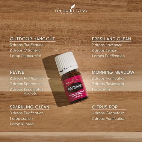 Purification Essential Oil Recipe, Purification Essential Oil Young Living, Purification Oil, Young Living Essential Oil Diffuser, Diffuser Blends Young Living, Purification Essential Oil, Essential Oil Combinations, Essential Oil Diffuser Blends Recipes, Young Living Essential Oils Recipes