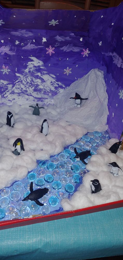 Penguin Diorama Habitats, Penguin School Project, Shoebox Habitat Projects, Penguin Diarama For Kids, Antarctica Projects For Kids, Penguin Habitat Project, Arctic Habitat Diorama, Penguin Habitat Shoebox Project, Polar Habitat Project