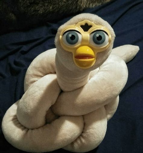 I don't know which picture i wanna post so have this. also thanks for 300 followers! #cursedimages #furby #longfurby#meme #memes #funny… Cursed Furby Aesthetic, Cs Go, Reaction Pictures, Mood Pics, Funny Photos, Dankest Memes, Pluto The Dog, Funny Images, Stuffed Animal