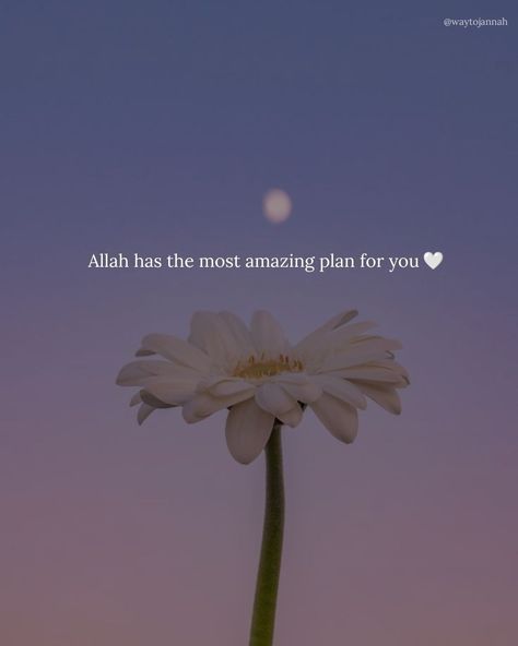 Islamic Bio, Whats App About, Book Quotes About Life, Islamic Whatsapp Dp, Dp Quotes, Islamic Dp Quotes, Islamic Dpz, Islamic Dp, Islamic Wallpapers