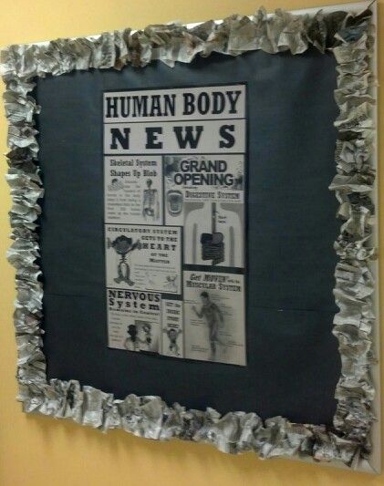 Human Body News Bulletin Board 4-h Poster Ideas, Diy Bulletin Board, Newspaper Craft, Sustainability Projects, Penanda Buku, News Bulletin, Health Class, Teacher Boards, Bulletin Board Ideas