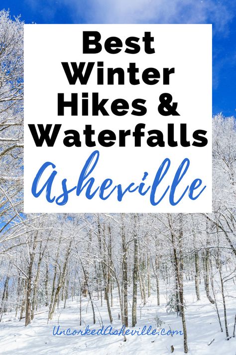 Don't miss the best winter hikes near Asheville, North Carolina. As locals, we are sharing winter hikes and waterfalls in and near Asheville that you'll love. North Carolina Winter, Asheville Hikes, Ashville North Carolina, Things To Do In Asheville, North Carolina Attractions, Winter Funny, Pisgah National Forest, North Carolina Travel, Asheville North Carolina