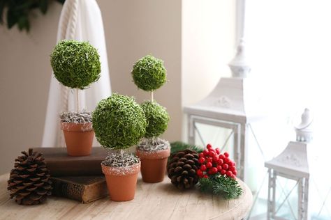 How to make a topiary with a Styrofoam ball - DIY Everywhere Styrofoam Ball Crafts, Easter Tree Diy, Dollar Tree Diy Organization, Styrofoam Crafts, Christmas Topiary, Easter Tree Ornaments, Garden Therapy, Keeping Busy, Tree House Kids